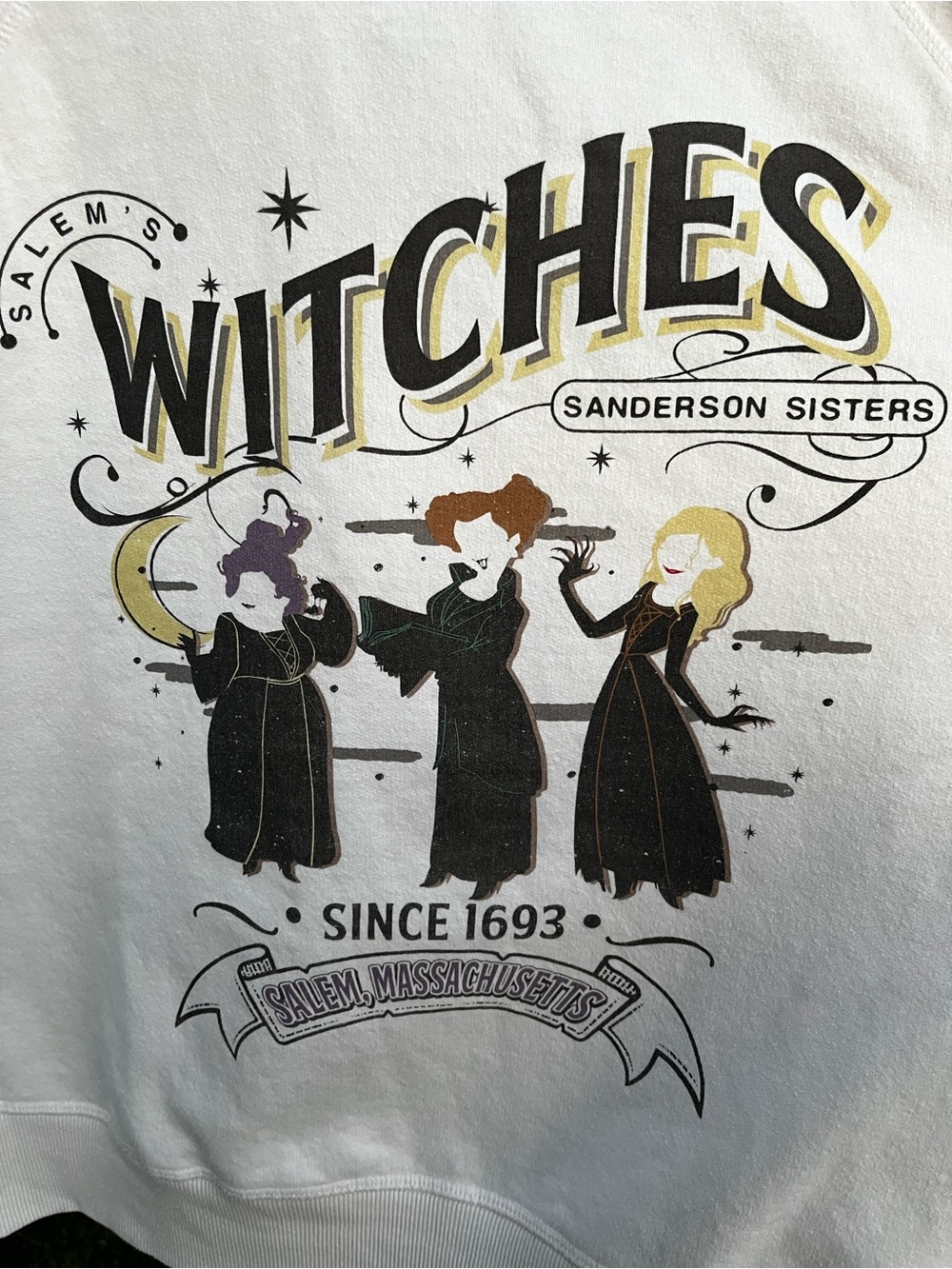 Disney Hocus Pocus Sanderson Sisters Salem Sweatshirt L